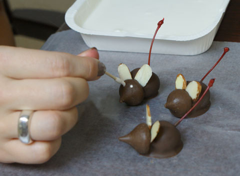 Chocolate Party Mice