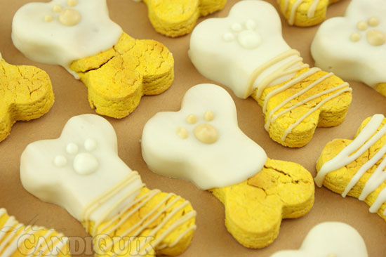 Pumpkin Dog Biscuits