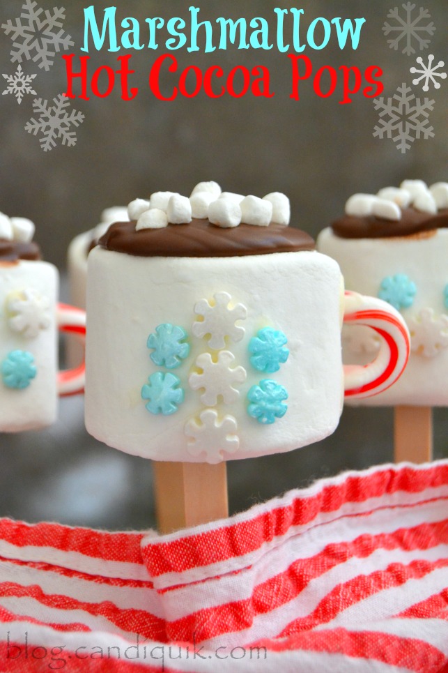 Marshmallow Hot Cocoa Pops